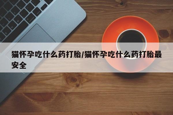 药流药网上购买猫怀孕吃什么药打胎/猫怀孕吃什么药打胎最安全