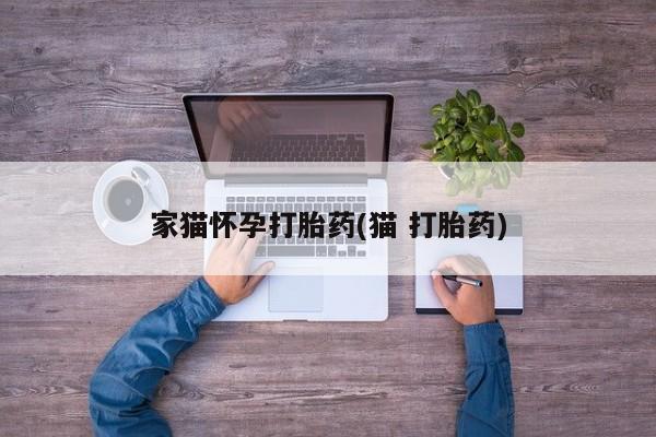 药流药网上购买家猫怀孕打胎药(猫 打胎药)